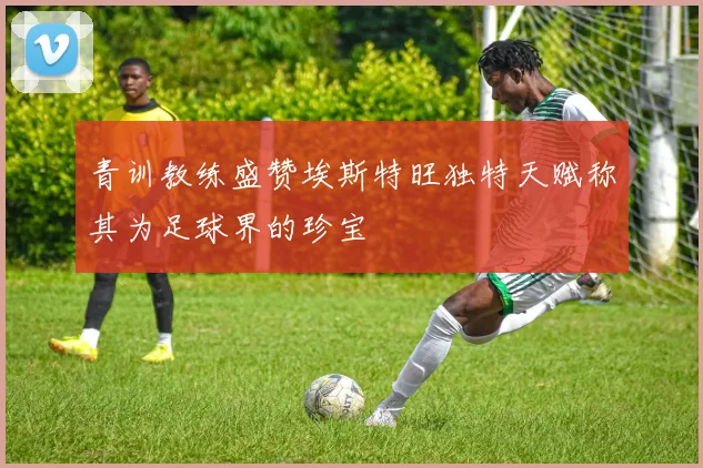 青训教练盛赞埃斯特旺独特天赋称其为足球界的珍宝