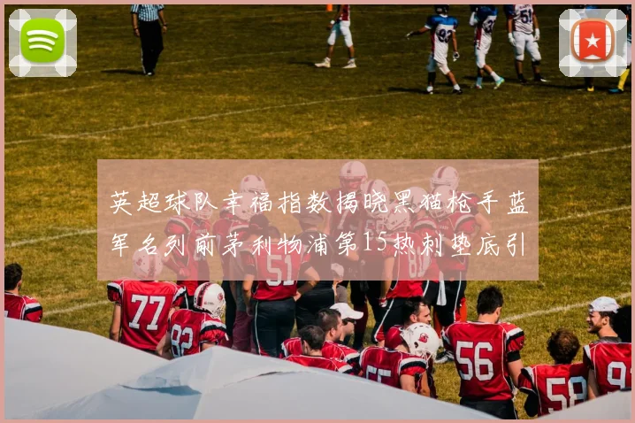 英超球队幸福指数揭晓黑猫枪手蓝军名列前茅利物浦第15热刺垫底引关注