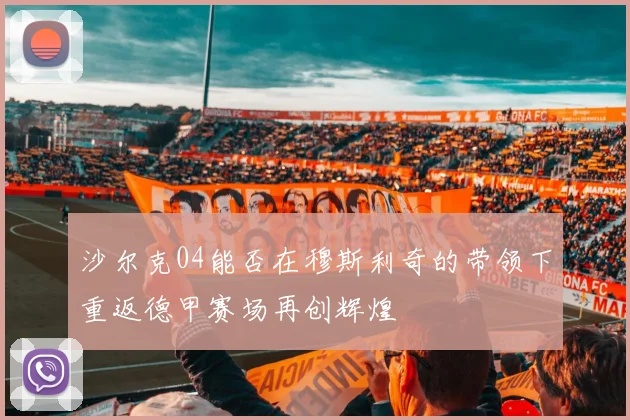 沙尔克04能否在穆斯利奇的带领下重返德甲赛场再创辉煌