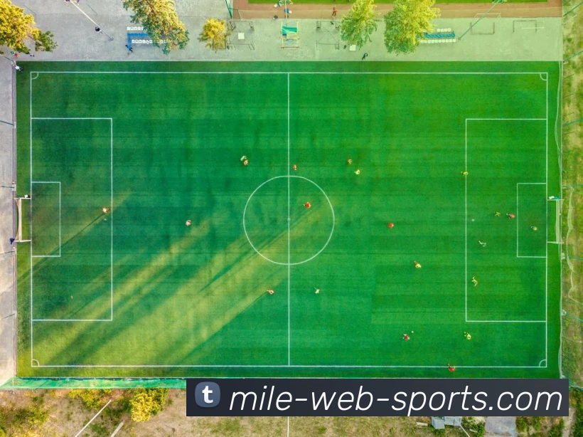 多媒体互动体验